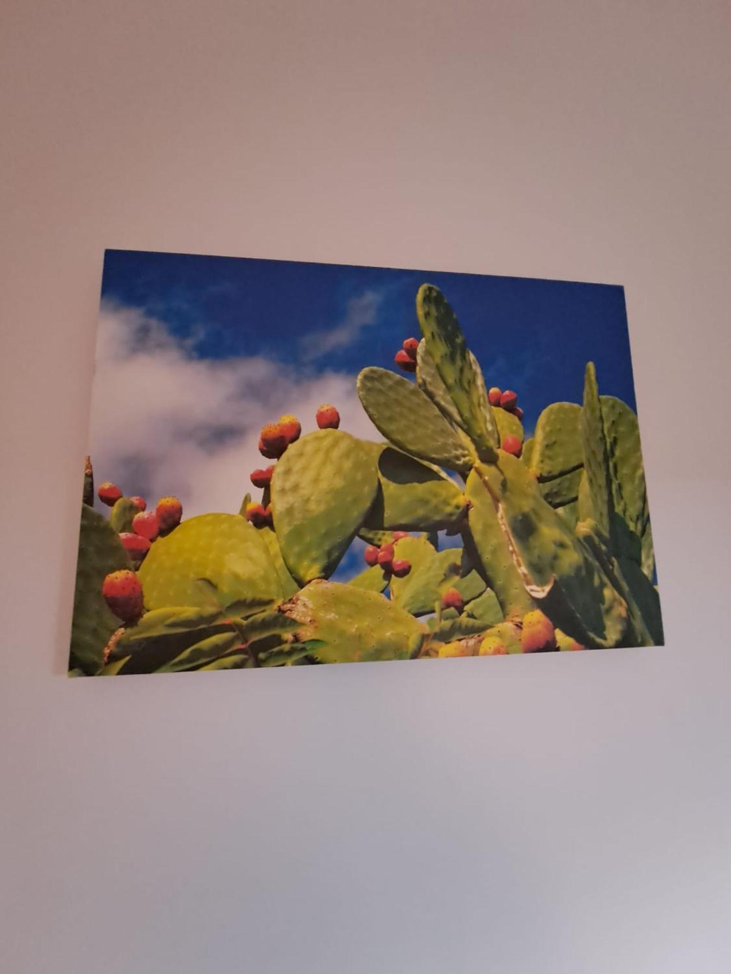 Appartamento Ammirata 팔레르모 외부 사진